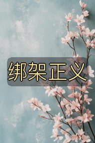 绑架正义封面