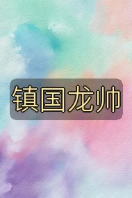 镇国龙帅封面